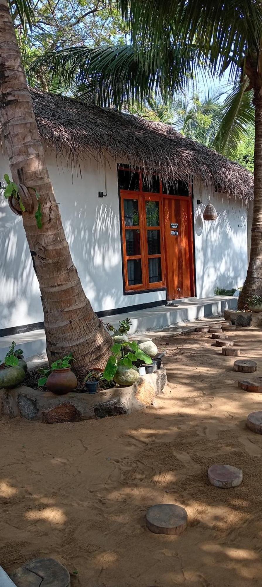 Surfing Lion Hostel Arugam Bay Exteriör bild