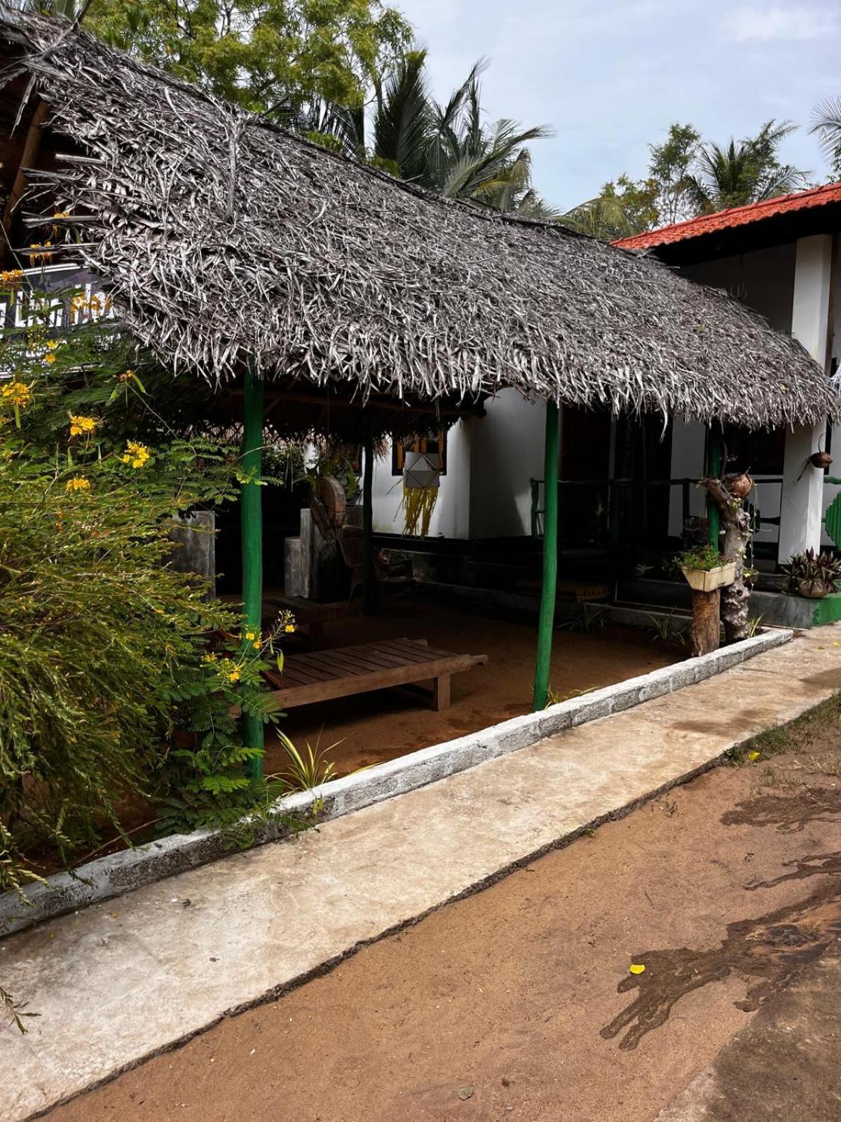Surfing Lion Hostel Arugam Bay Exteriör bild