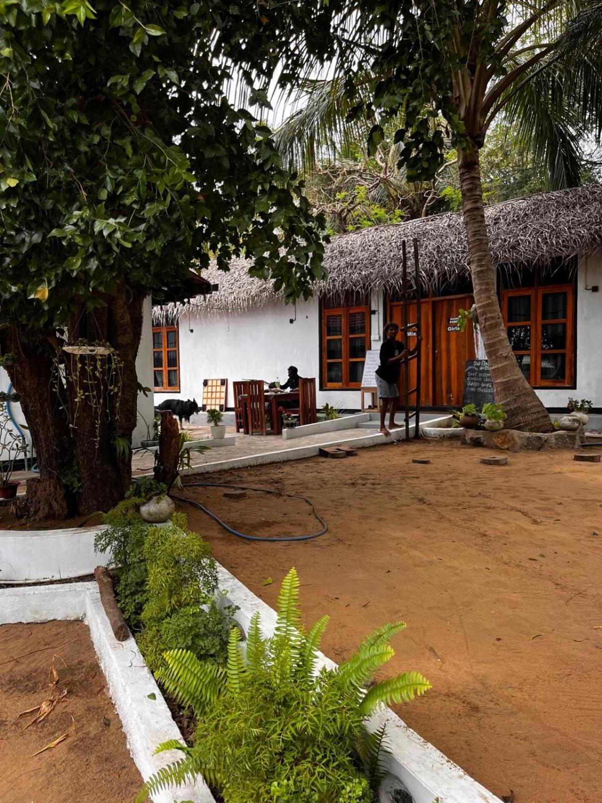 Surfing Lion Hostel Arugam Bay Exteriör bild