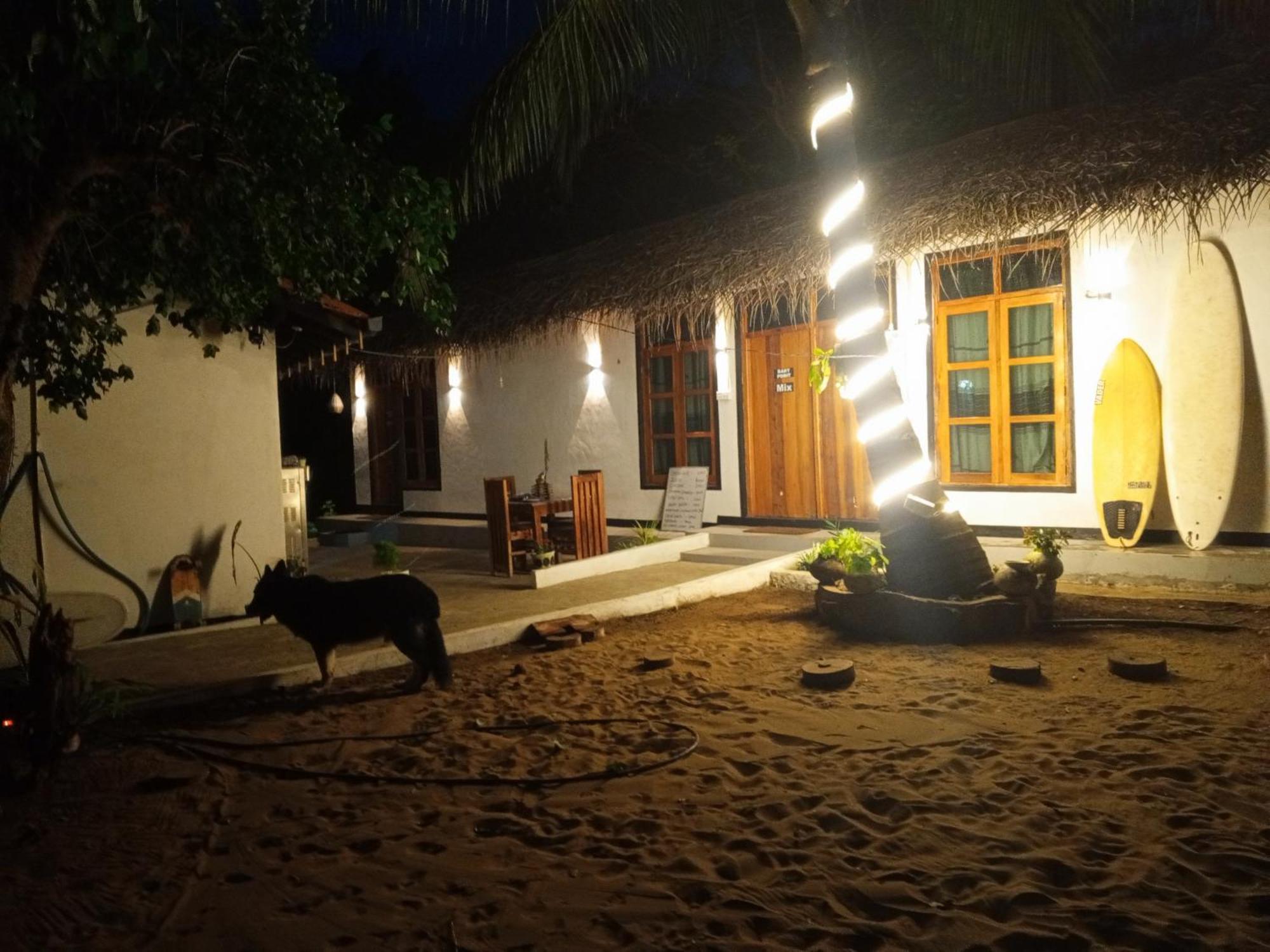 Surfing Lion Hostel Arugam Bay Exteriör bild