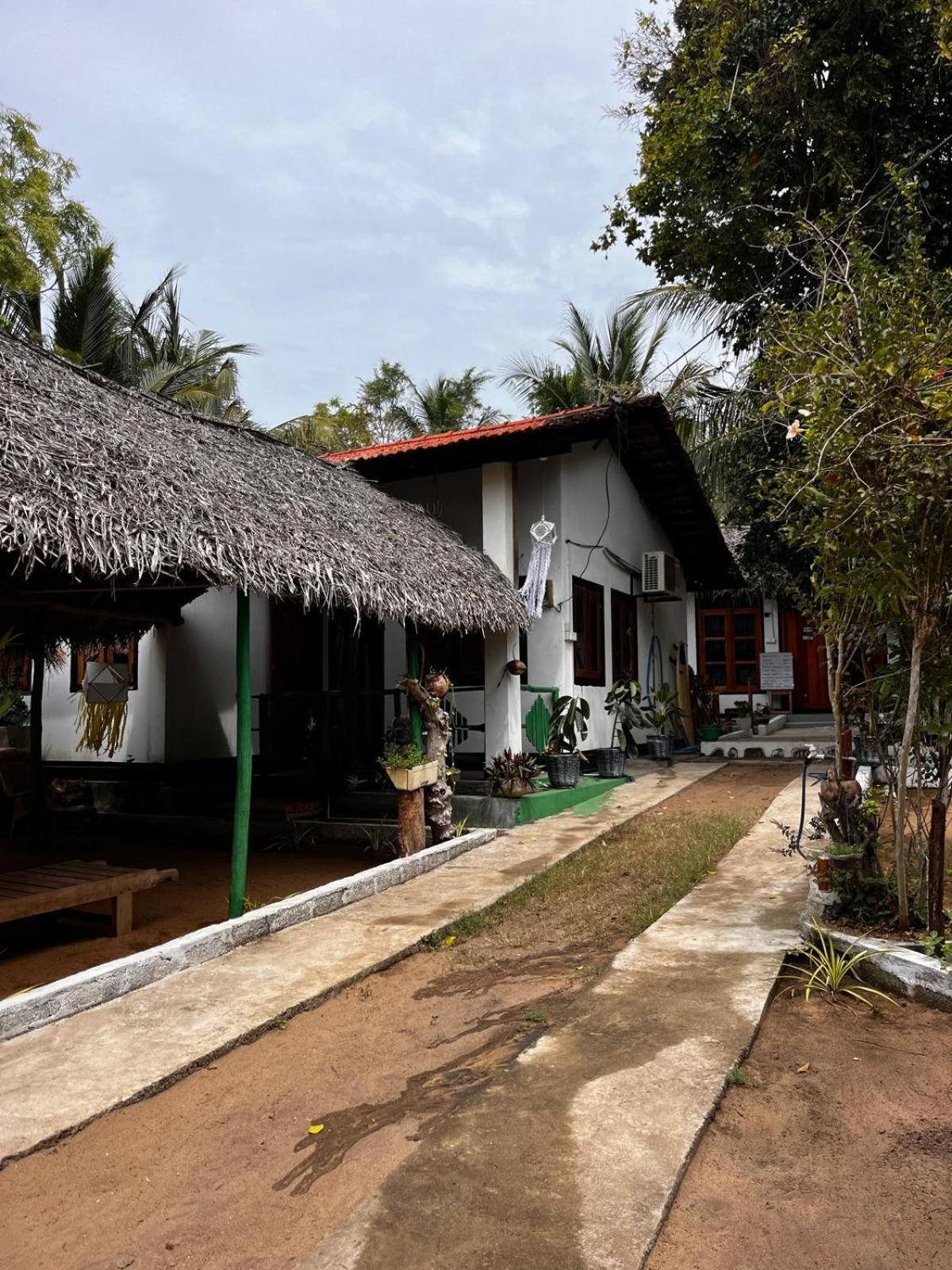 Surfing Lion Hostel Arugam Bay Exteriör bild